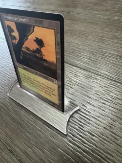 MTG Windswept Heath Onslaught Land LP - Image 4