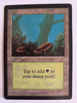 Forest (A) Limited Edition - Beta Edition Regular, Magic The Gathering MTG Card - Image 1