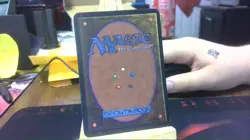 twiddle alpha mtg - Image 2