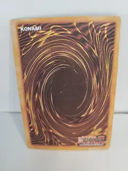 Yu-Gi-Oh! TCG Fake Card Poorly Translated Funny Holo - Dark Paladin - Fusion - Image 2