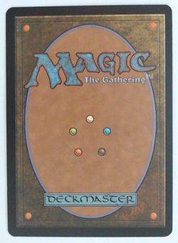 MTG Bling - Foil Basic Land - Plains (233) - Shards of Alara -H44 - Image 2