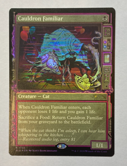 MTG - Secret Lair - Showcase: Duskmourn - Cauldron Familiar - FOIL - NM - Image 1