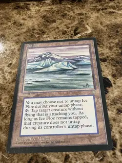ICE FLOE Magic the Gathering MTG Ice Age MP - A - Image 1