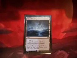 1x MTG - Gloomlake Verge - Duskmourn: House of Horror (DSK) - NM - Image 1