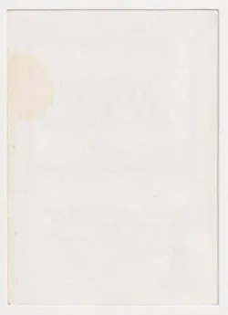 Spring's Blessing (Winter's Night) MP Alliances Playtest Card 1995 MTG Magic! - Image 2