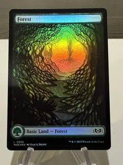 MTG Wilds of Eldraine *FOIL* FULL ART L Forest #0266 - NM - Image 1