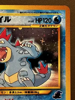 Pokemon Card Feraligatr 160 Intro Pack Neo Totodile PROMO Holo 2001 Jap EXC + - Image 3