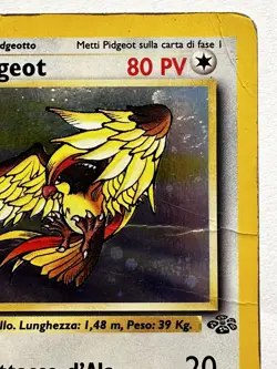 Pokemon Card Game Pidgeot N° 8/64 Holo Jungle 1999 WOTC ITA POOR - Image 4