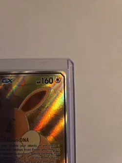 Pokemon TCG Eevee GX SM233 Full Art Promo Black Star Ultra Rare Holo - Image 5