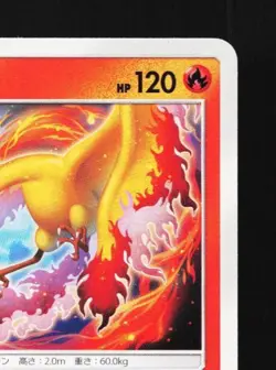 Moltres 010/060 LP Thunderclap Spark Japanese Pokemon Card TCG - Image 5