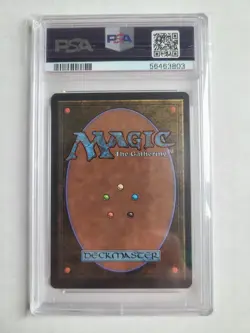 MTG Fishliver Oil PSA 9 MINT Vintage Arabian Nights English Magic Card 1993! - Image 3