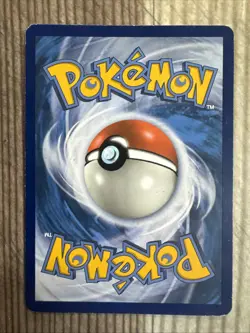 Venusaur EX - XY123 - Full Art Promo Black Star Rare - Pokemon Card - HP/DMG - Image 2