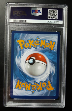 2022 POKEMON SWSH BSP VSTAR PREM COLL PROMO #213 FA LUCARIO V PSA 8 NM-MT - Image 2