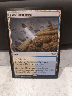 Duskmourn: House of Horror - Floodfarm Verge - MTG - NM - Image 1