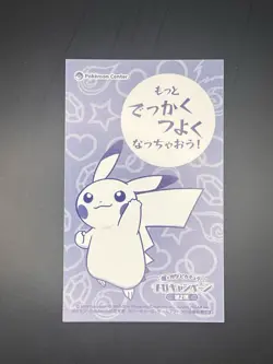 Pokemon Poncho-Wearing Pikachu Mega Charizard X Business Card JPN Promo - Image 2