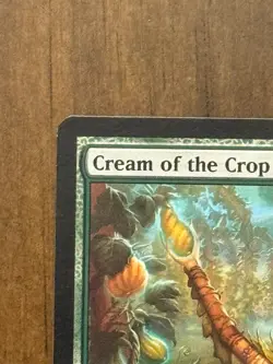 CREAM OF THE CROP Morningtide MTG Magic the Gathering Cards - Image 2