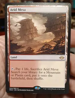 Arid Mesa Modern Horizons 2 Regular - Image 1