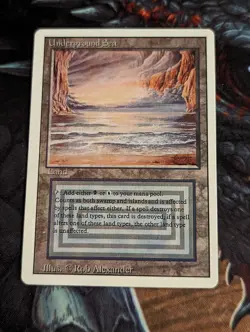 MTG "Sticker" CEDH Revised Underground Sea Dual Land - Image 1
