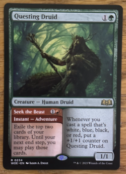 MTG Wilds of Eldraine, Questing Druid - Image 1