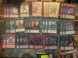 YUGIOH GLADIATOR BEAST DECk Core, Nerokius, Noxious -TEST PANTHER - Image 1