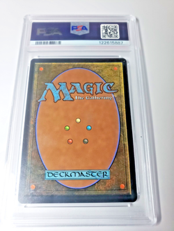 2025 MTG FINAL FANTASY EN TRAVELING CHOCOBO # 0210 GEM MINT PSA 10 122615887 - Image 5