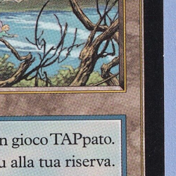 Faerie Conclave MTG MISPRINT Italian. Missing Expansion symbol - Image 2