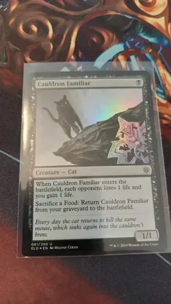 MTG Magic - Cauldron Familiar X1 NM Throne of Eldraine - FOIL - Image 1