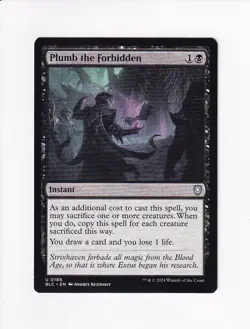 MAGIC THE GATHERING MTG COMMANDER: BLOOMBURROW PLUMB THE FORBIDDEN - Image 1