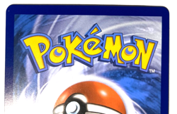 Pokemon Brier Trainer Poke Ball + FREE extra Rare card! - Image 5
