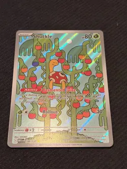Shuckle - 136/132 - Pokemon Mega Evolution 2025 - Illustration Rare Card NM - Image 4