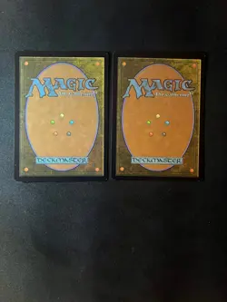 Shivan Reef #380/#255 FOIL/Borderless [Dominaria United] Magic MTG Cards NM - Image 2