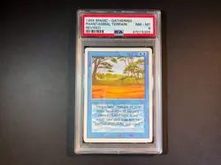 1994 PHANTASMAL TERRAIN, Revised Edition, Graded PSA 8 NEAR MINT - MINT MTG - Image 1