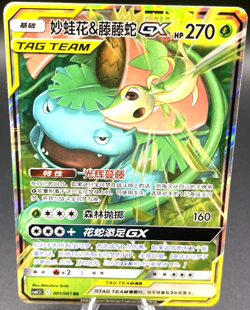 Venusaur & Snivy GX 001/061 Striking Competition Tag Team Chinese Holo TCG Card - Image 1