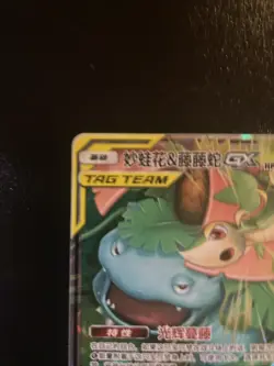 Venusaur & Snivy GX 001/061 Striking Competition Tag Team Chinese Holo TCG Card - Image 3