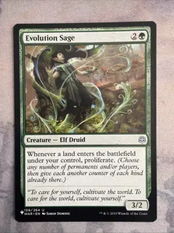 1x Evolution Sage- NM- The List Reprints- Mtg Magic The Gathering- Free Shipping - Image 1