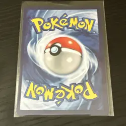 Squirtle with Grey Felt Hat Pokemon x Van Gogh Black Star Promo - Image 3