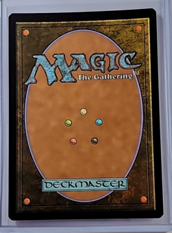 2025 MTG Magic the Gathering Secret Lair Borderless Foil #1324 Wanderwine Hub - Image 2