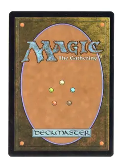 Choco, Seeker of Paradise R 215 Foil Final Fantasy MTG Card NM - Image 2