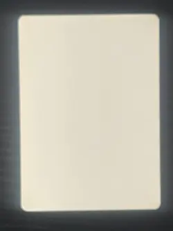 Magic MTG Italian Revised Northern Paladin Artist Proof Near Mint Only 50 Exist! - Image 2