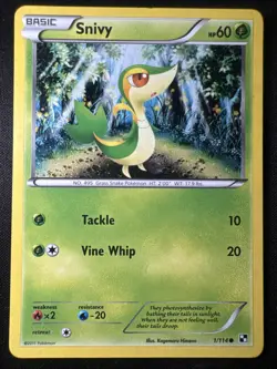 Snivy - (Cosmos Holo) 001/114 Miscellaneous Cards & Products Holo LP+NM - Image 1