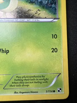 Snivy - (Cosmos Holo) 001/114 Miscellaneous Cards & Products Holo LP+NM - Image 4
