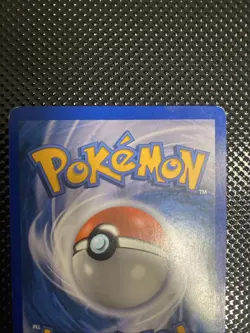 Suicune Secret Wonders 19/132 Cracked Ice Holo Pokemon Card - Image 5