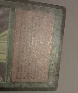 Eureka HP Signed Legends MTG Magic the Gathering - Image 4