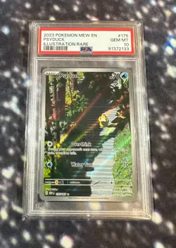PSA 10 Psyduck - 175/165 - Illustration Rare - Pokemon TCG Scarlet & Violet 151 - Image 2