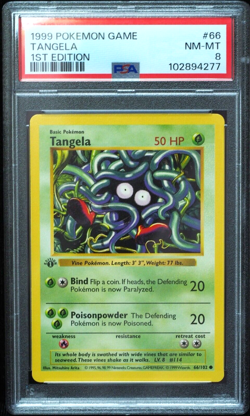 1st Edition Shadowless Tangela 66/102 Base Set Pokemon Card PSA 8 - Image 1