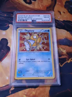 2016 POKEMON XY BLACK STAR PROMO SHINY MEGA GYARADOS #XY143 MAGIKARP-HOLO PSA 8 - Image 1
