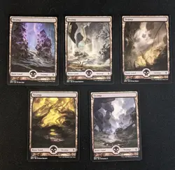 25x Battle for Zendikar FULL ART Basic Lands - MTG Magic - 1 of Each Art - Image 4