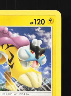 Raikou 79/214 LP Lost Thunder English Pokemon Card TCG - Image 5