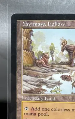 Magic The Gathering: Urza's Destiny - Yavimaya Hollow - Regular - LP - Image 3