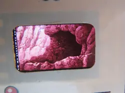 Pokemon The Movie 2000 Authentic Film 35mm Frame Card Topps - Played - Image 2